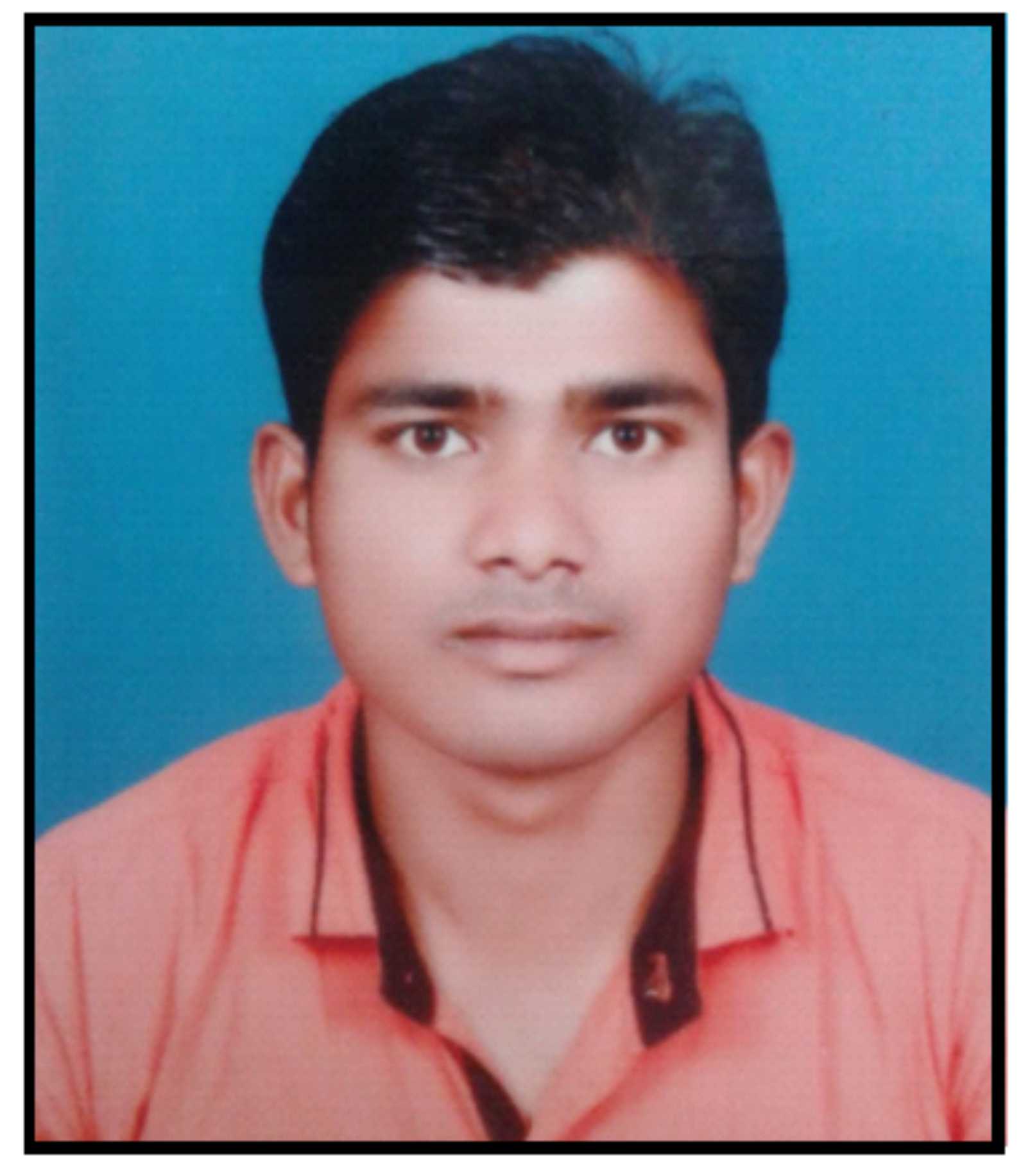 Exploring the Role of Business Communication in Organizational Success