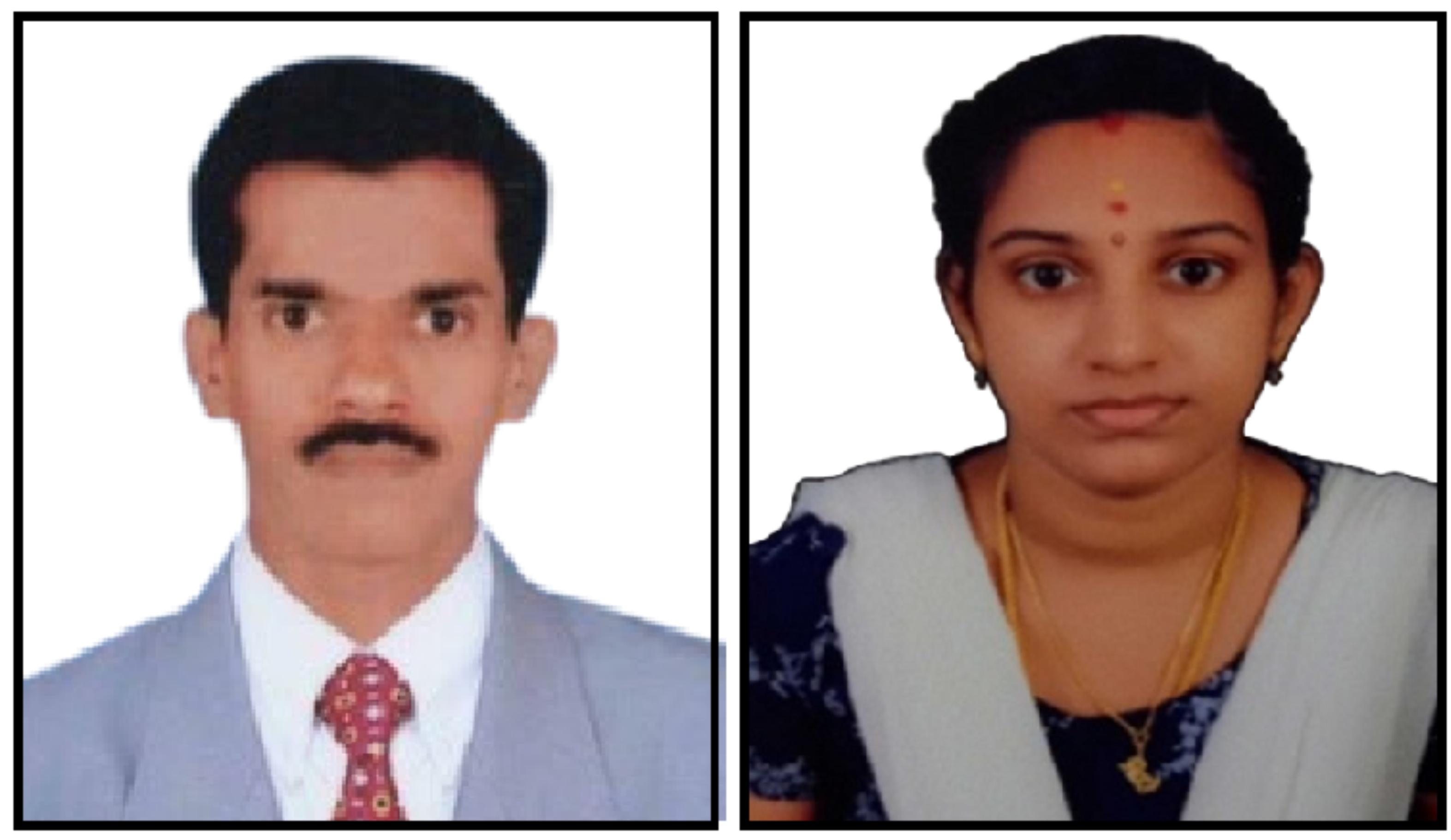 A Study on the Growth of UPI Payments in India: An Analysis