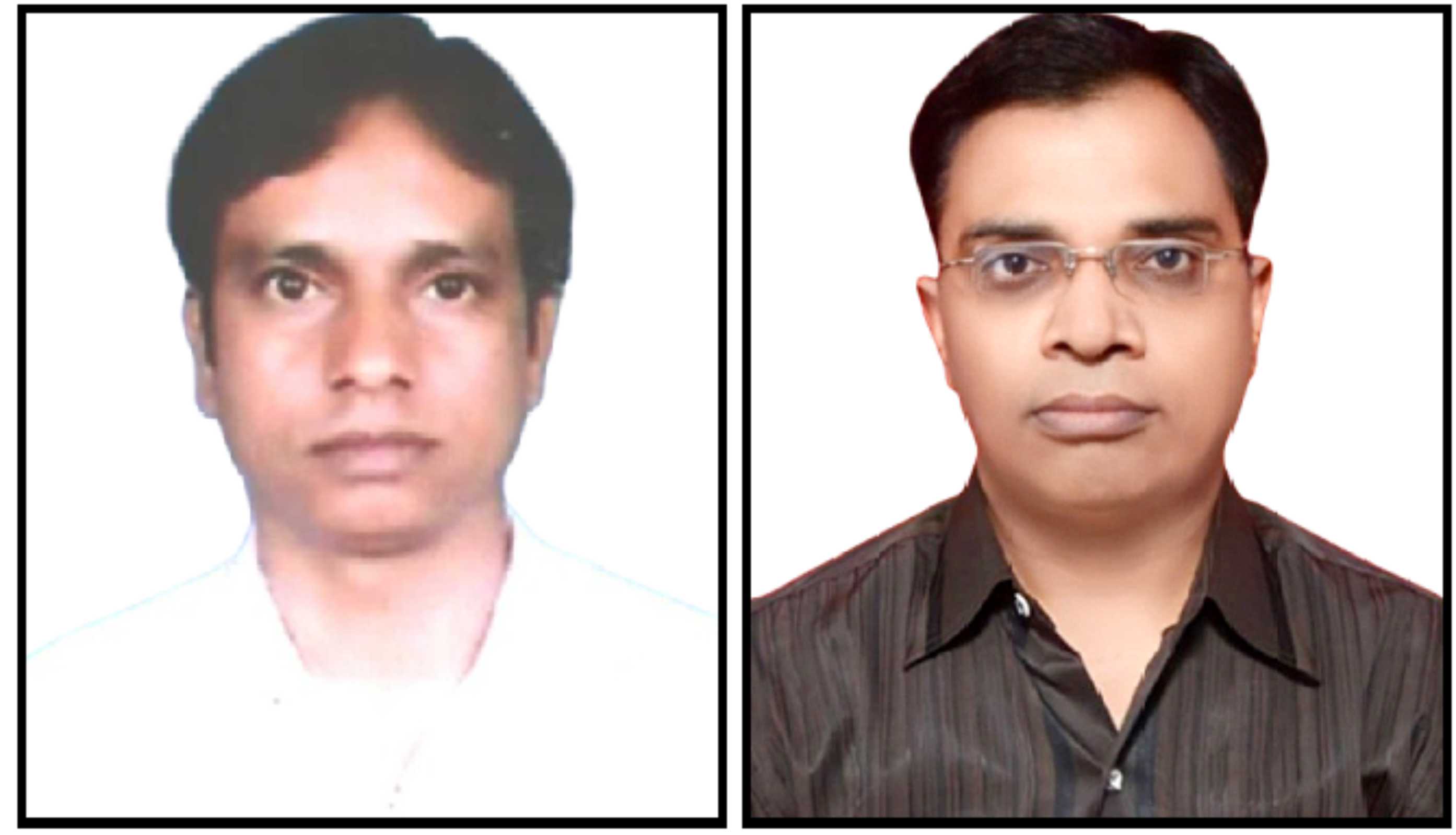 Chhattisgarh Rajya mai Vastu Awam Seva kar ka Vishleshnatamak Adhyayan: Sarguja Sambhag ke Ambikapur Vrit ke Vishesh Sandharbh Mai