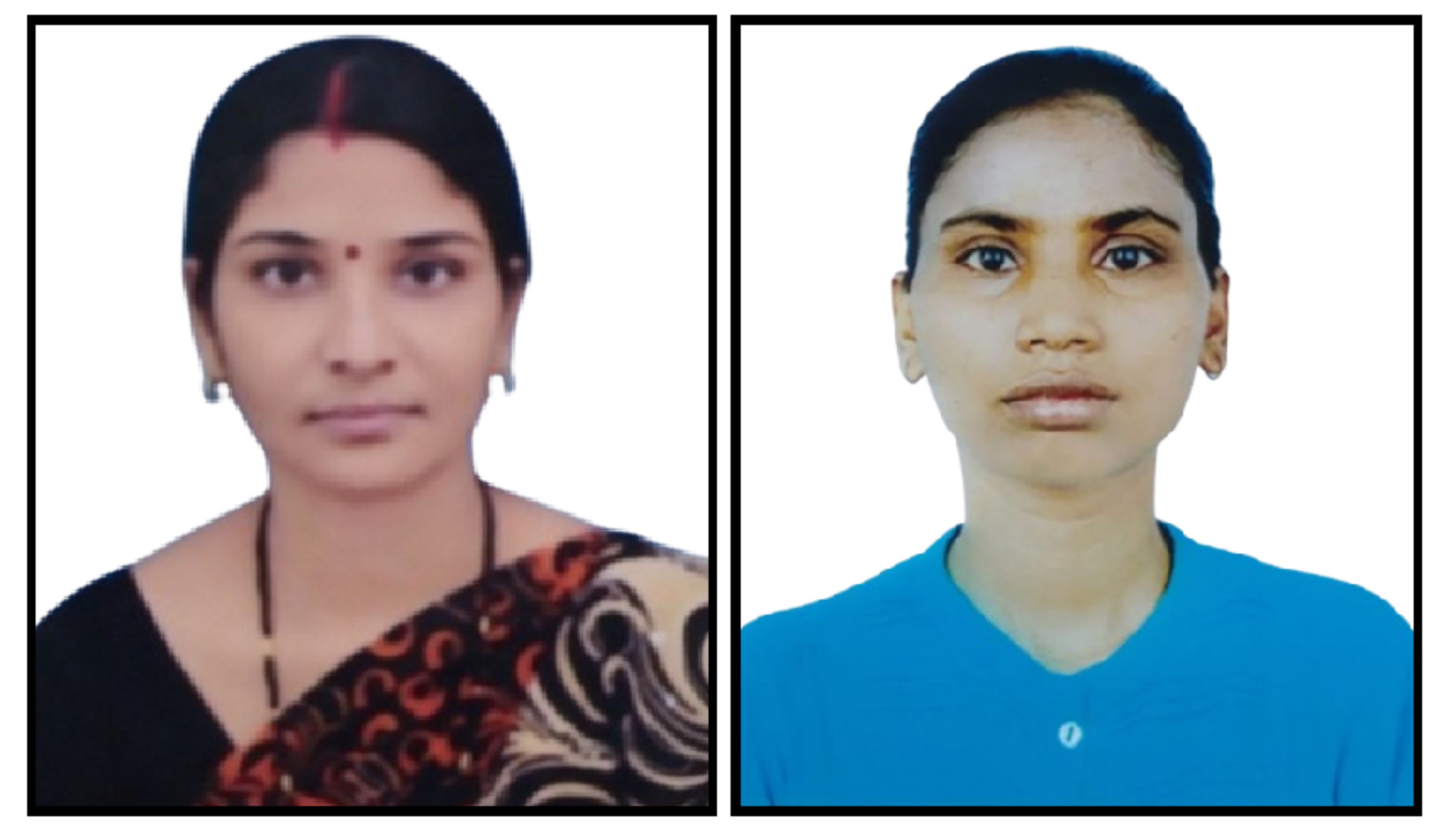 Sandharniya Vikas Lakshyo ko Aakar Dene mai Chhattisgarh Rajya ki Bhumika