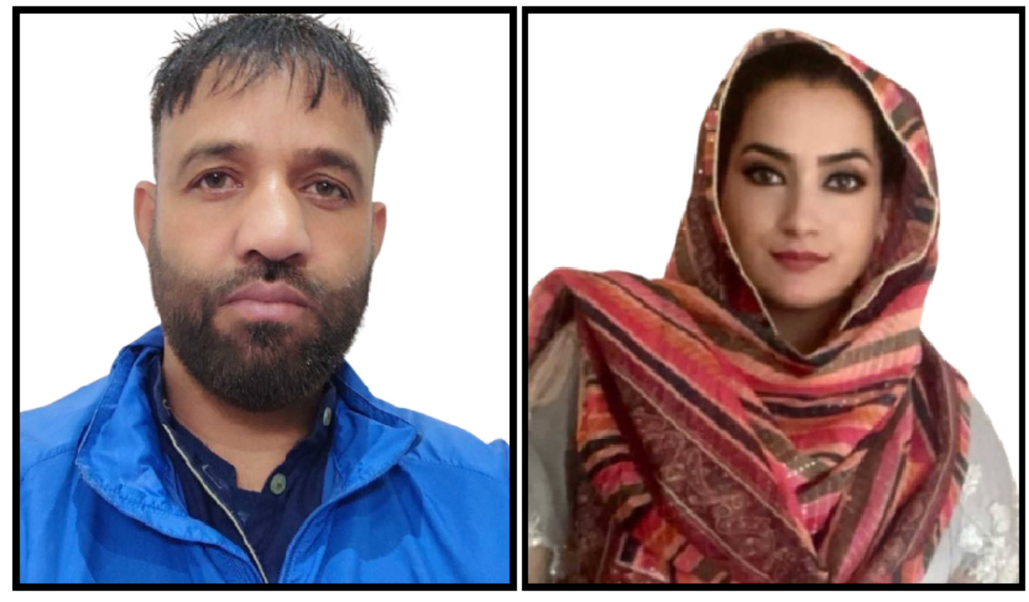 Influence of Nutrient Management Systems on Leaf and Fruit Nutrient Composition of Apple (Malus Domestica Borkh) in Kashmir Valley